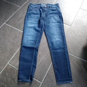 Arizona Jean CO. Skinny Ankle Jeans Size 3